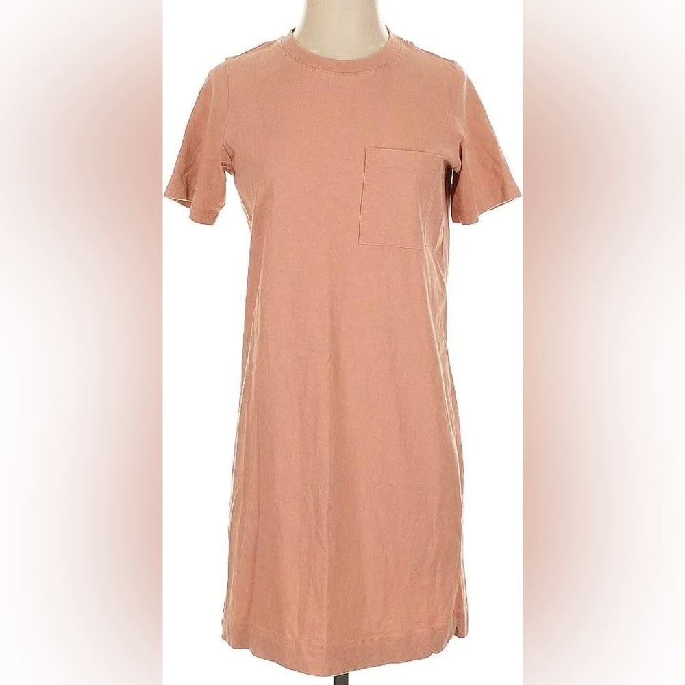 Everlane Cotton Terracotta Tshirt Dress